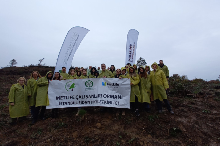 Metlife Çalışanları Ormanı 