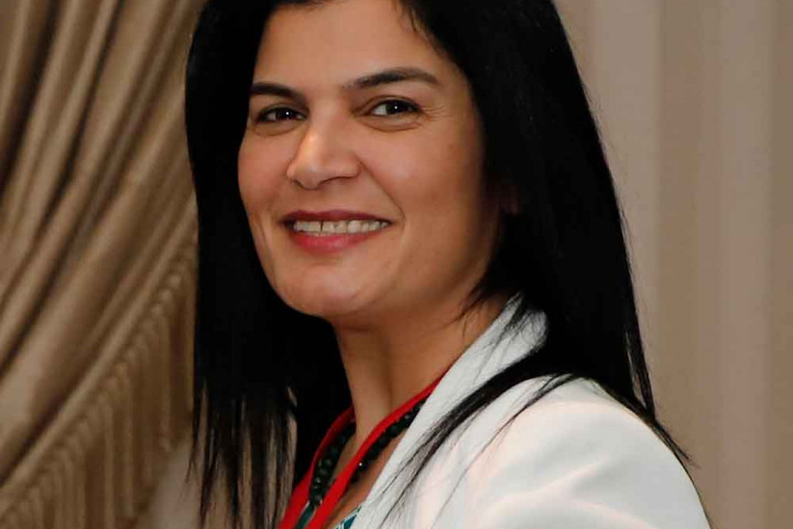 Dilek Aşan