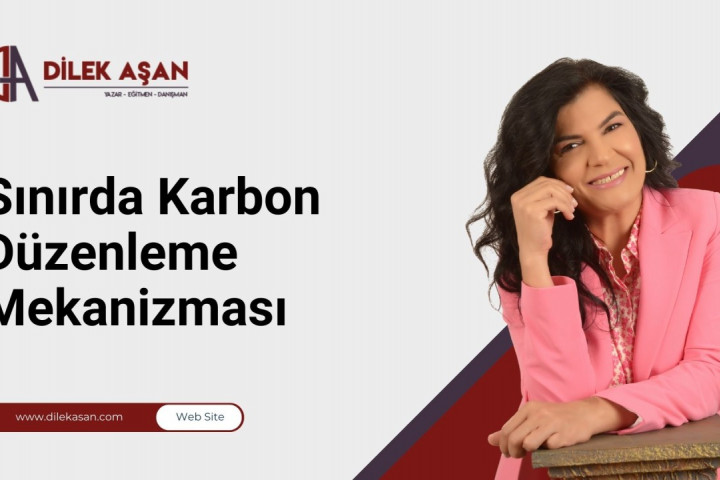 Sınırda Karbon Düzenleme Mekanizması