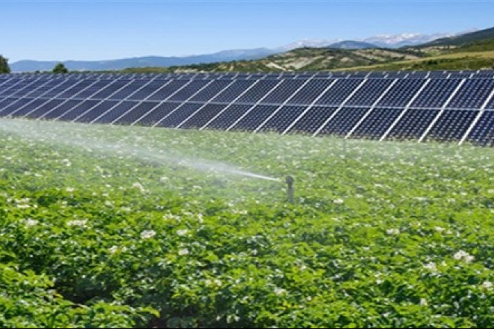 tarım ve güneş enerjisi 