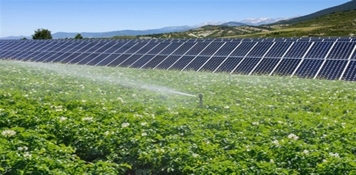 tarım ve güneş enerjisi