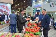 GROWTECH.ANTALYA 