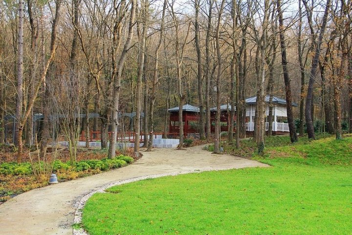 ParkOrman’da Yeni Bir Dönem Başlıyor