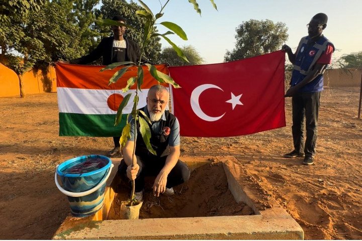 İşsizliğe Karşı Gelmek İçin Mango Diktiler