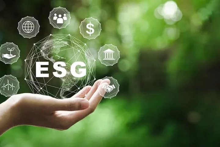 Şirketlerin En Çok Aradığı ESG Yetenekleri