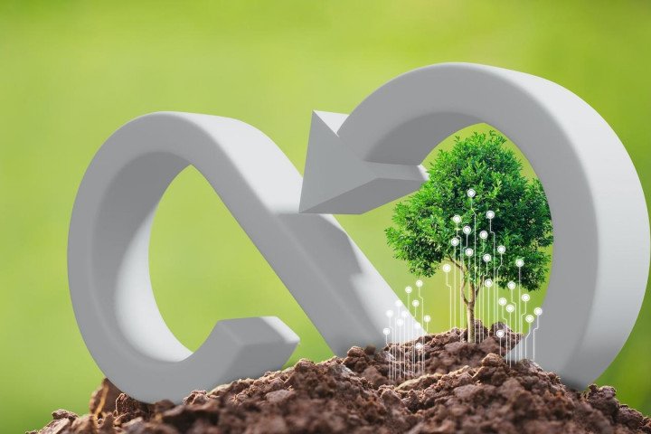 Startup’lar Döngüsel Ekonomiyi Dönüştürmeye Hazırlanıyor