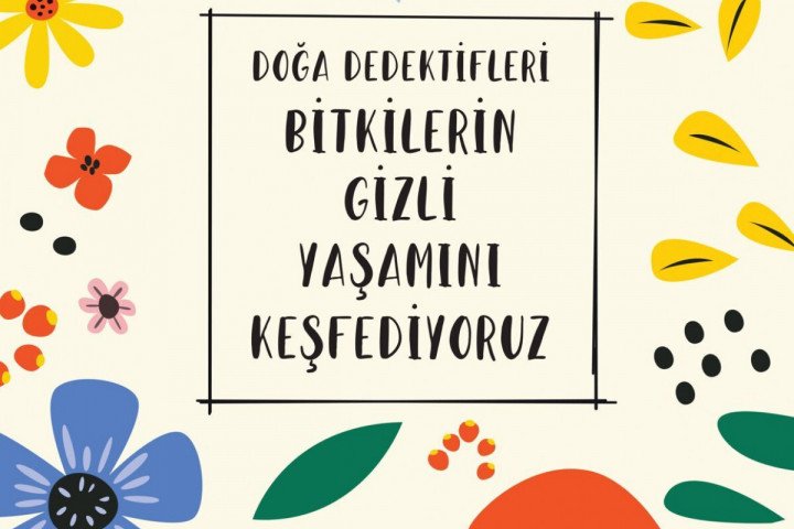 Dog-a-Dedektifleri-Bitkilerin-Gizli-Yas-amini-Kes-fediyoruz-3 Doğa Dedektifleri: Bitkilerin Gizli Yaşamını Keşfediyoruz