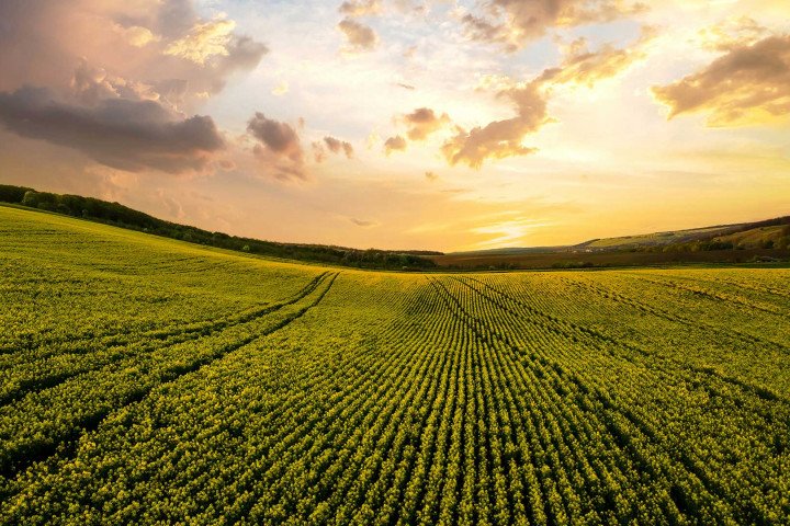 Workup Agri’nin 3. Dönemi Başlıyor