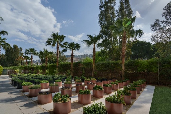Liberty-Hospitality-Group-Karbon-Salinimi-2 Liberty Hospitality Group Karbon Salınımı