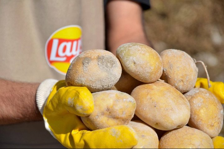 Patates Üretiminin %89’u Yenileyici Tarım Uygulamalarıyla Gerçekleşiyor