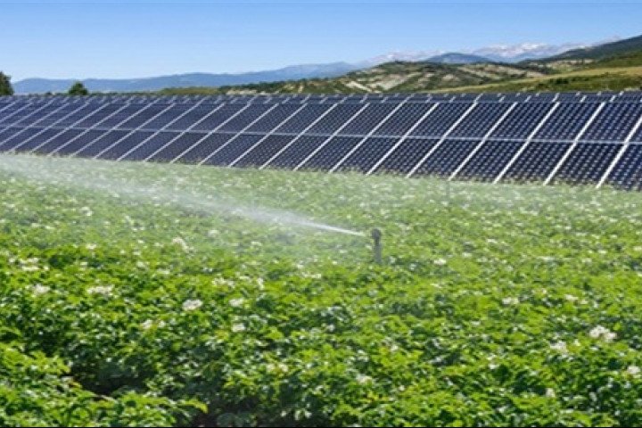 Güneş Panelleri ve Tarım, Avrupa’nın Enerji Talebinin %68’ini Karşılayabilir