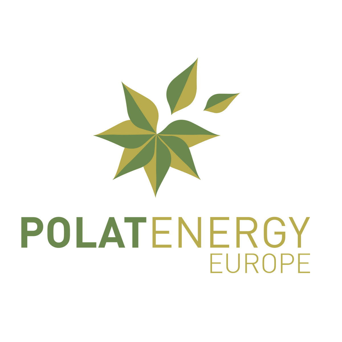 Polat Energy Europe