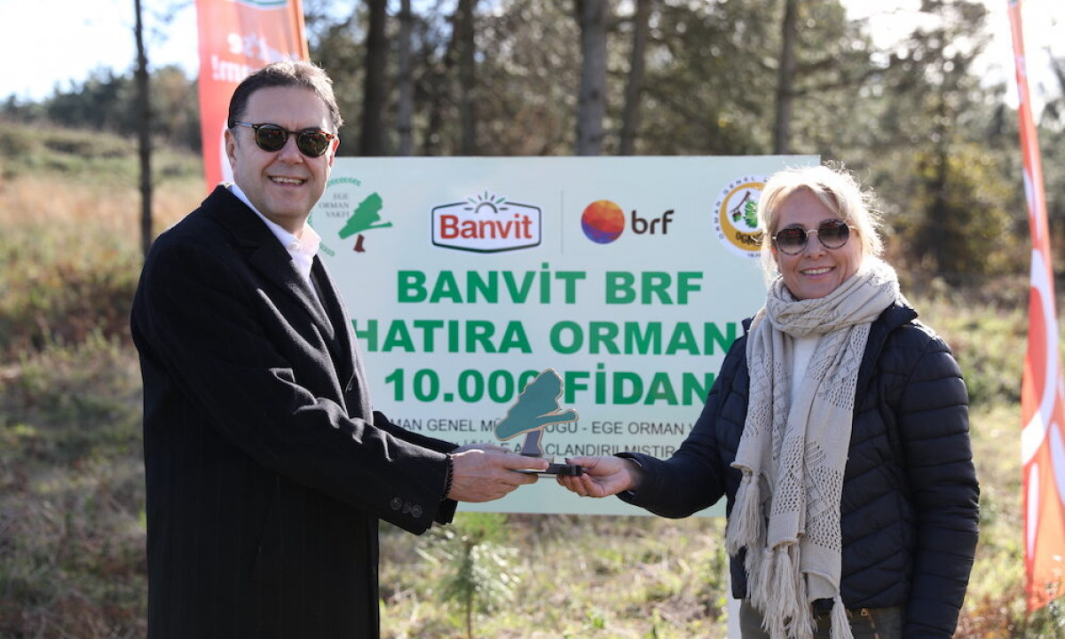 Banvit BRF Ormanları