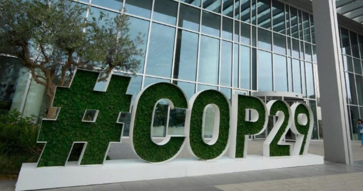 COP 29