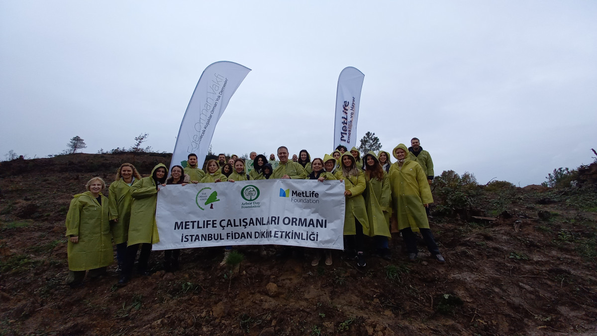 Metlife Çalışanları Ormanı