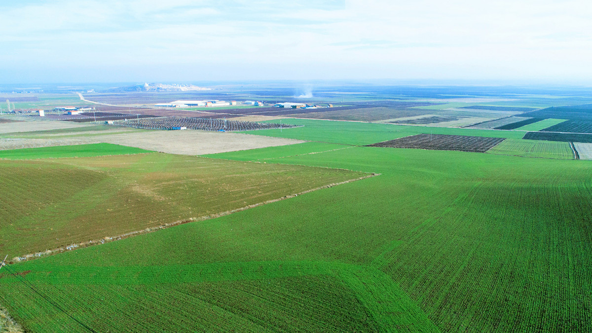 TEMA Vakfı 2023 Çevre Olayları