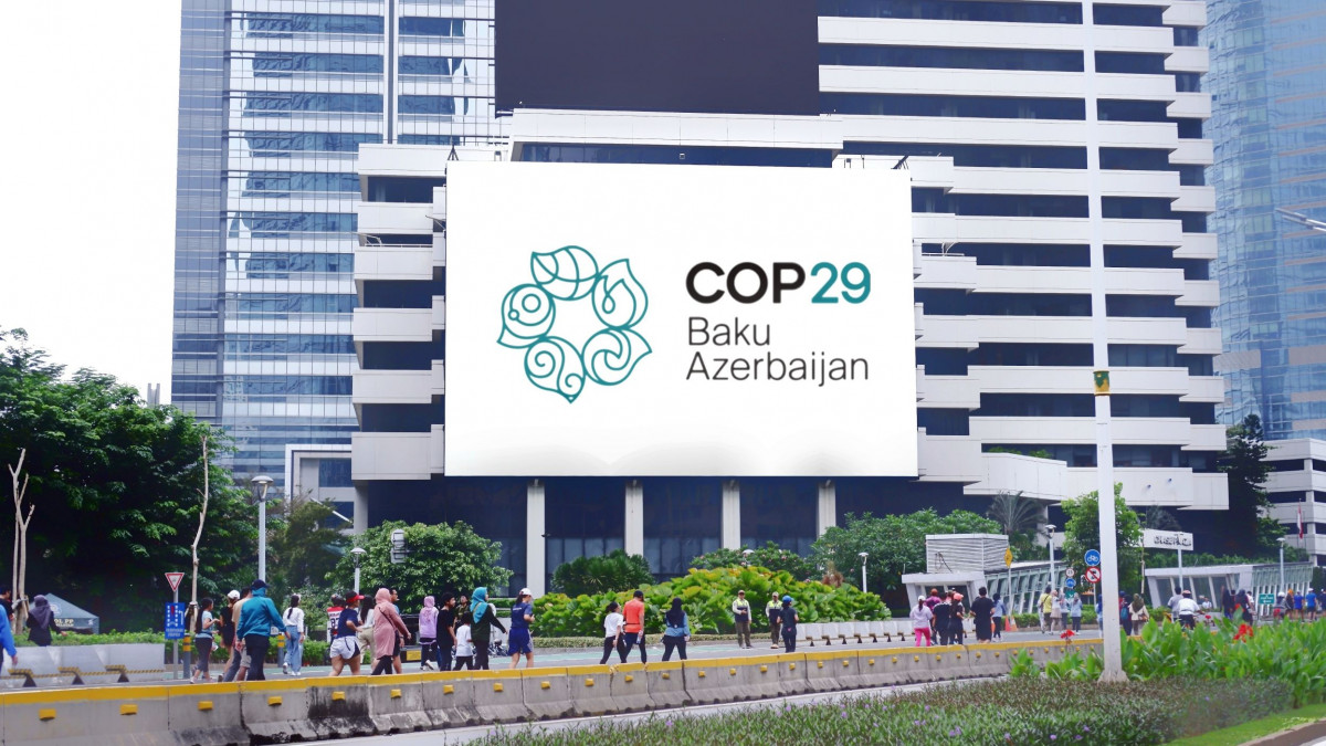 COP29