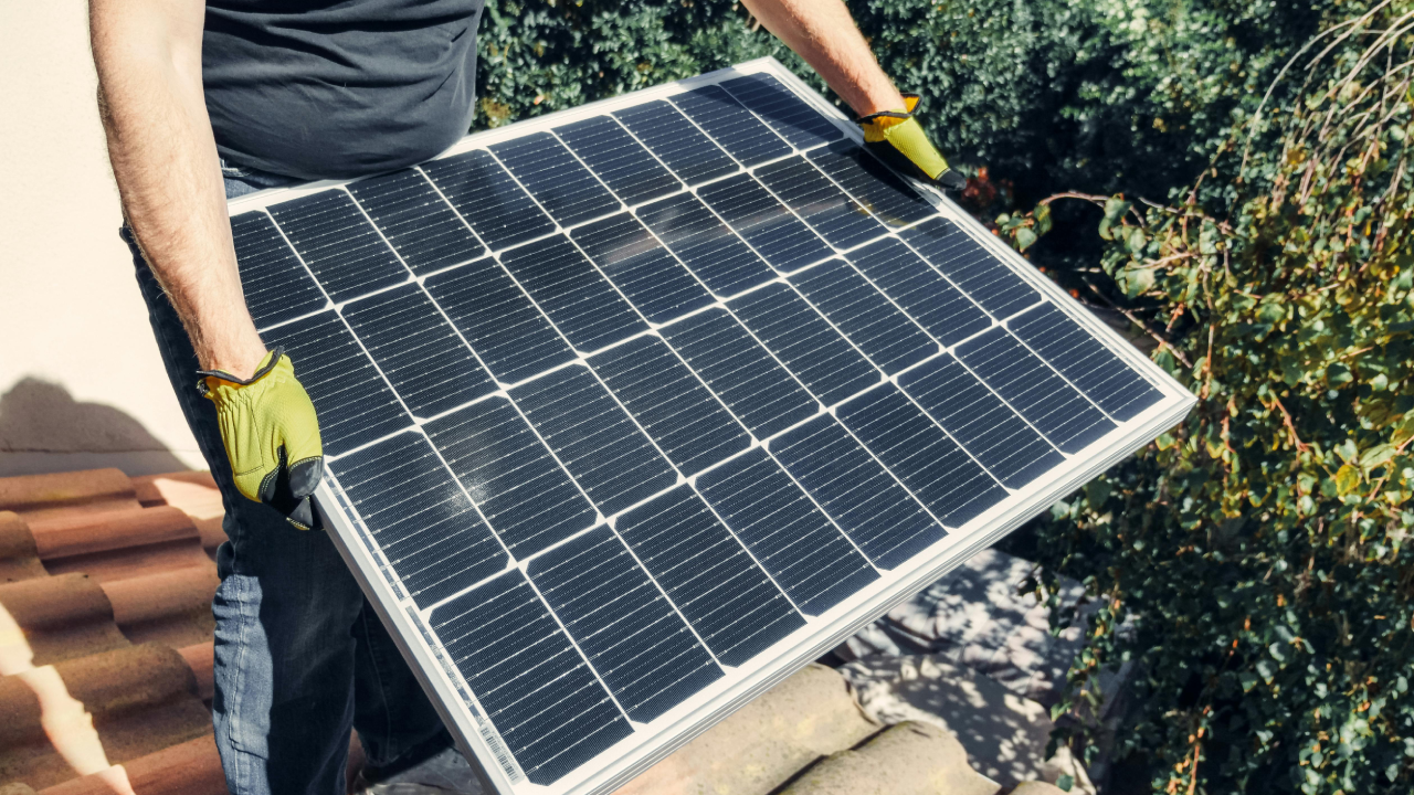 Ant Yapı Kendi Enerjisini Güneşten Üretmeye Başladı