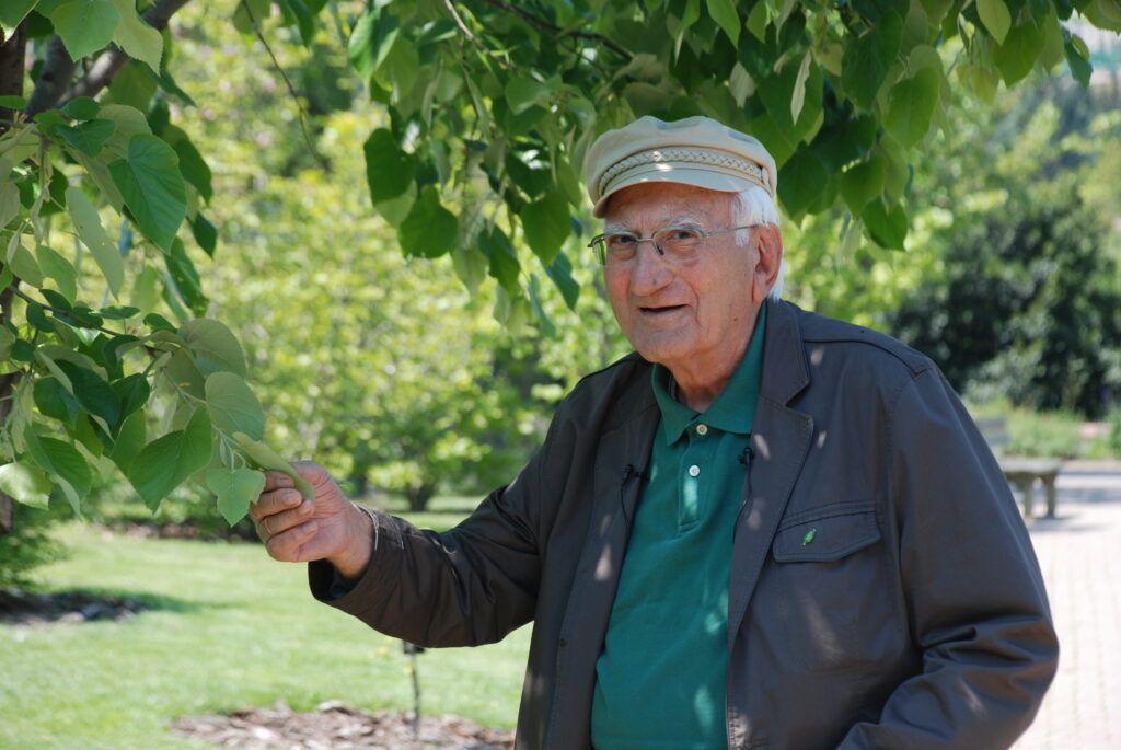 Ali Nihat Gökyiğit