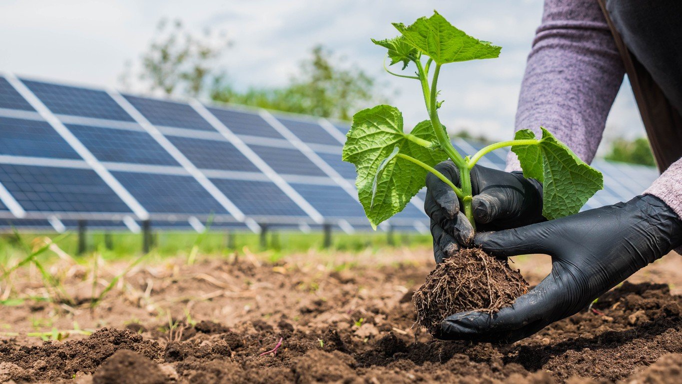 AB’nin Elektrik Üretiminde Güneş Enerjisinin Payı Kömürü Geride Bıraktı