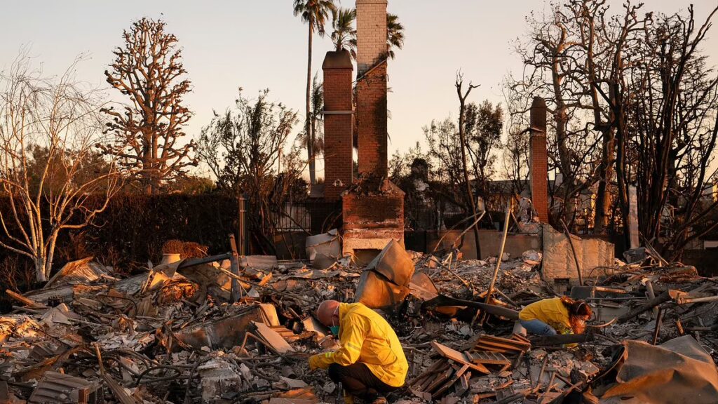 Los Angeles Yangınları