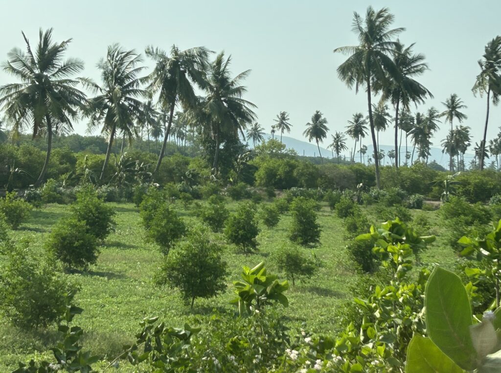 Varaha, India