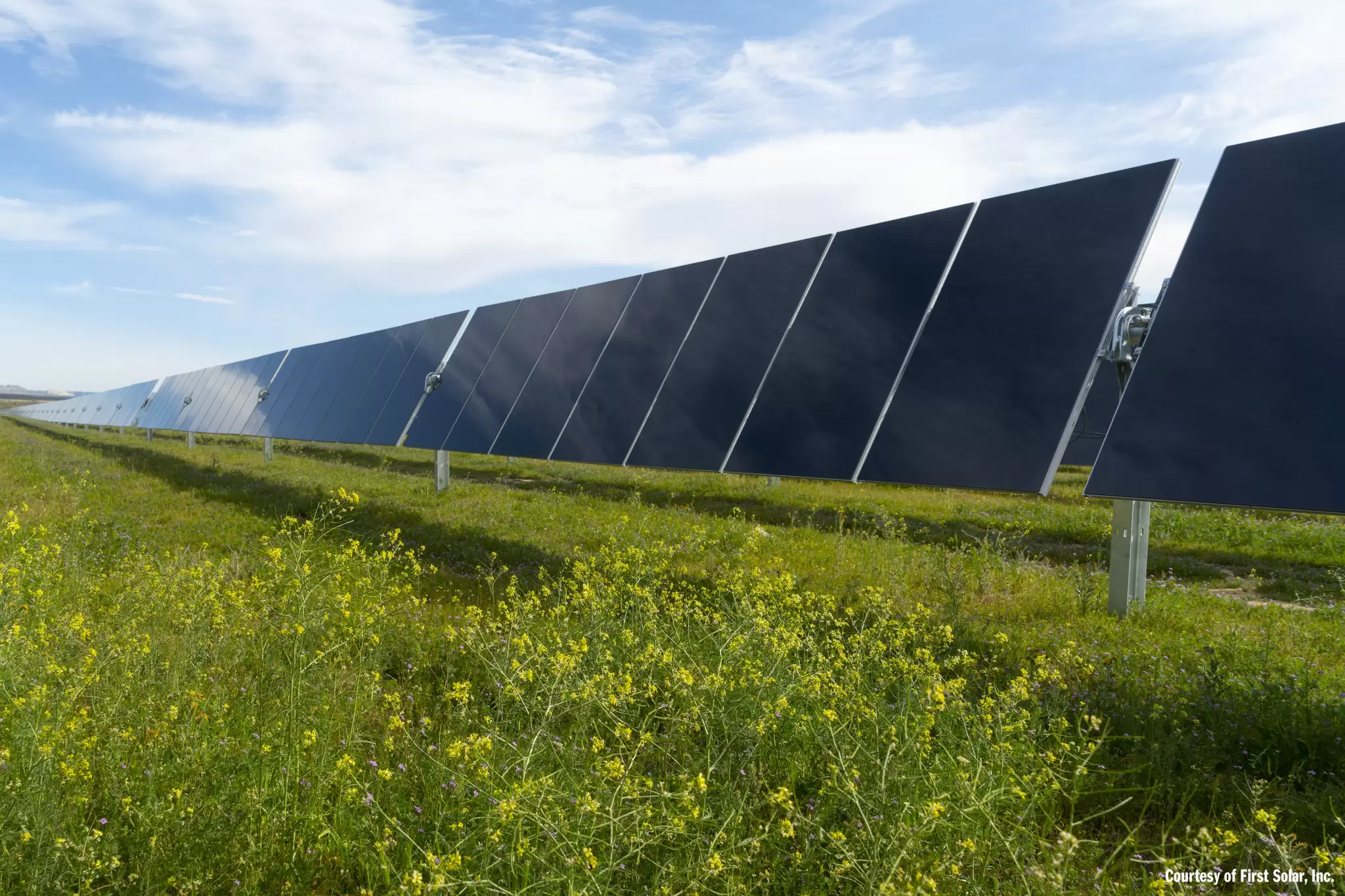 Solar Panel