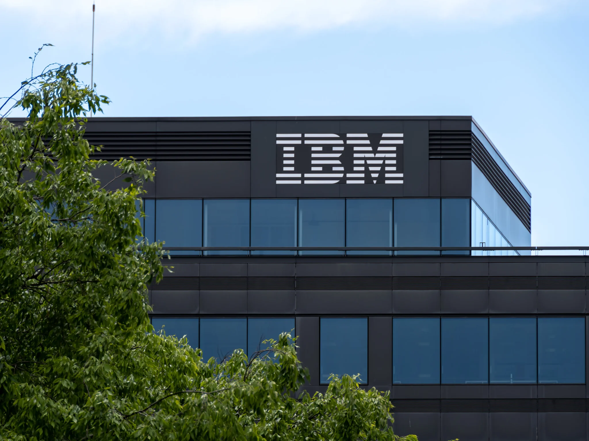 ibm IBM Karbonsuzlaşma Anlaşması