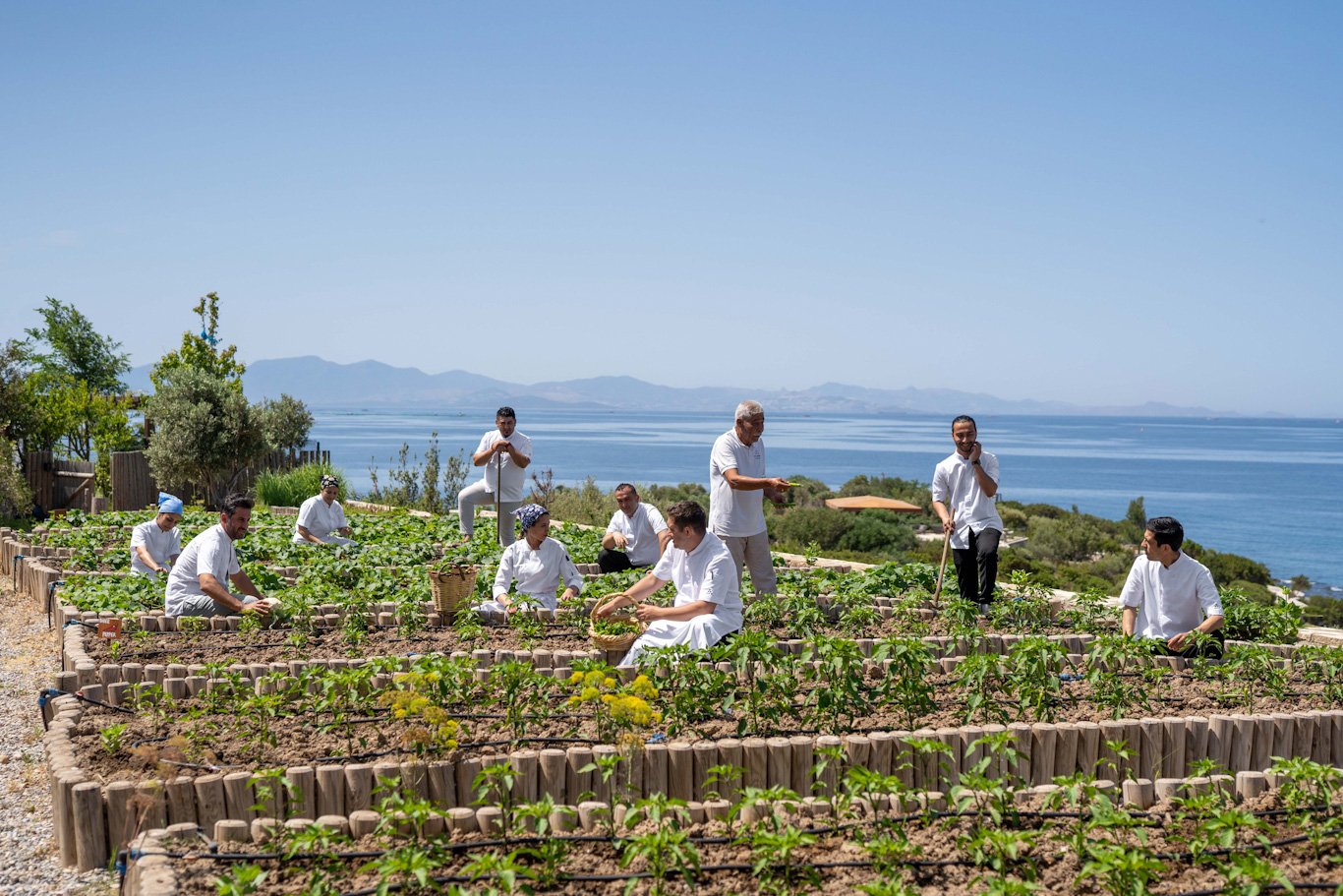 Six Senses Kaplankaya, Sürdürülebilirlikte 2024 Green Lodging Trends Raporu’nda Yer Aldı