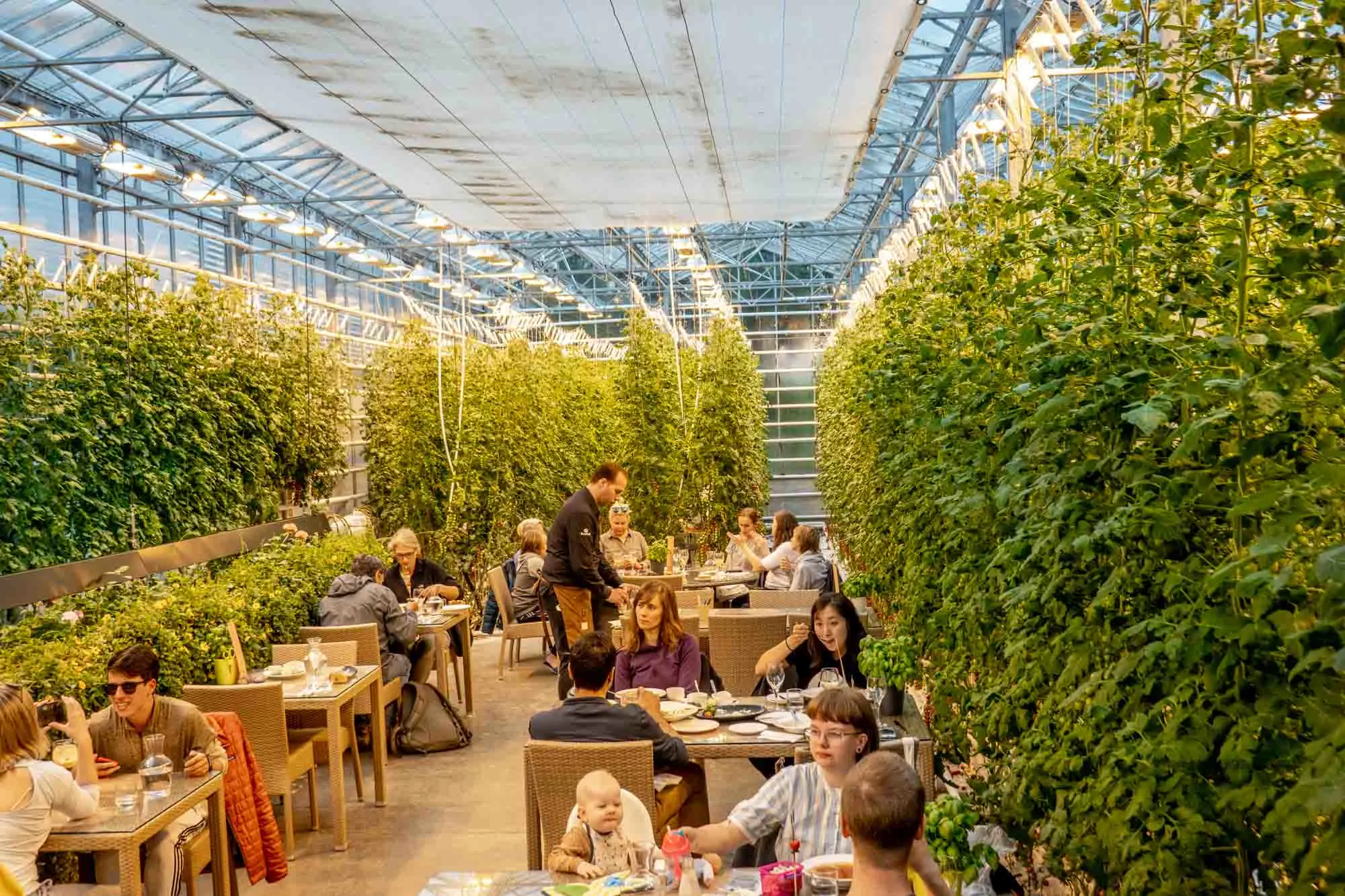 Fridheimar Restaurant - İzlanda
