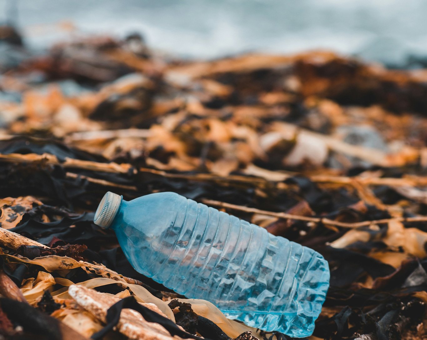 erik-mclean-GjCx5KhulZI-unsplash_edited Plastik Atıklar Erik Mclean-Unsplash