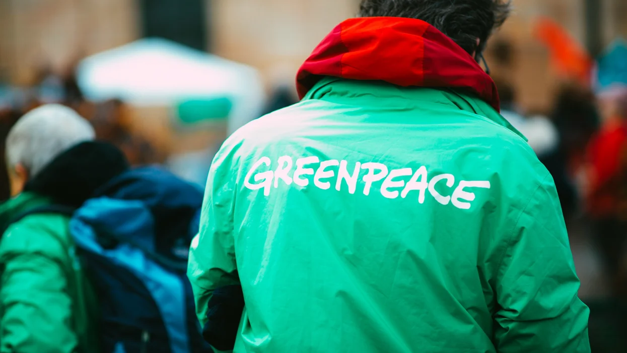 greenpeace Greenpeace davası 2025