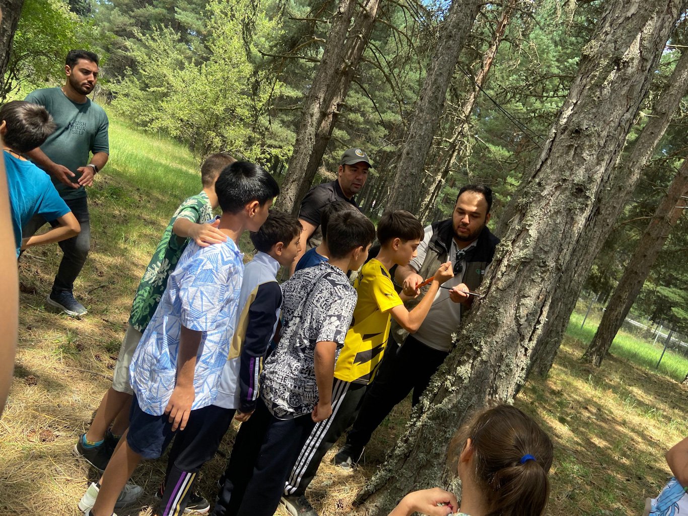 OGM Orman Okulları