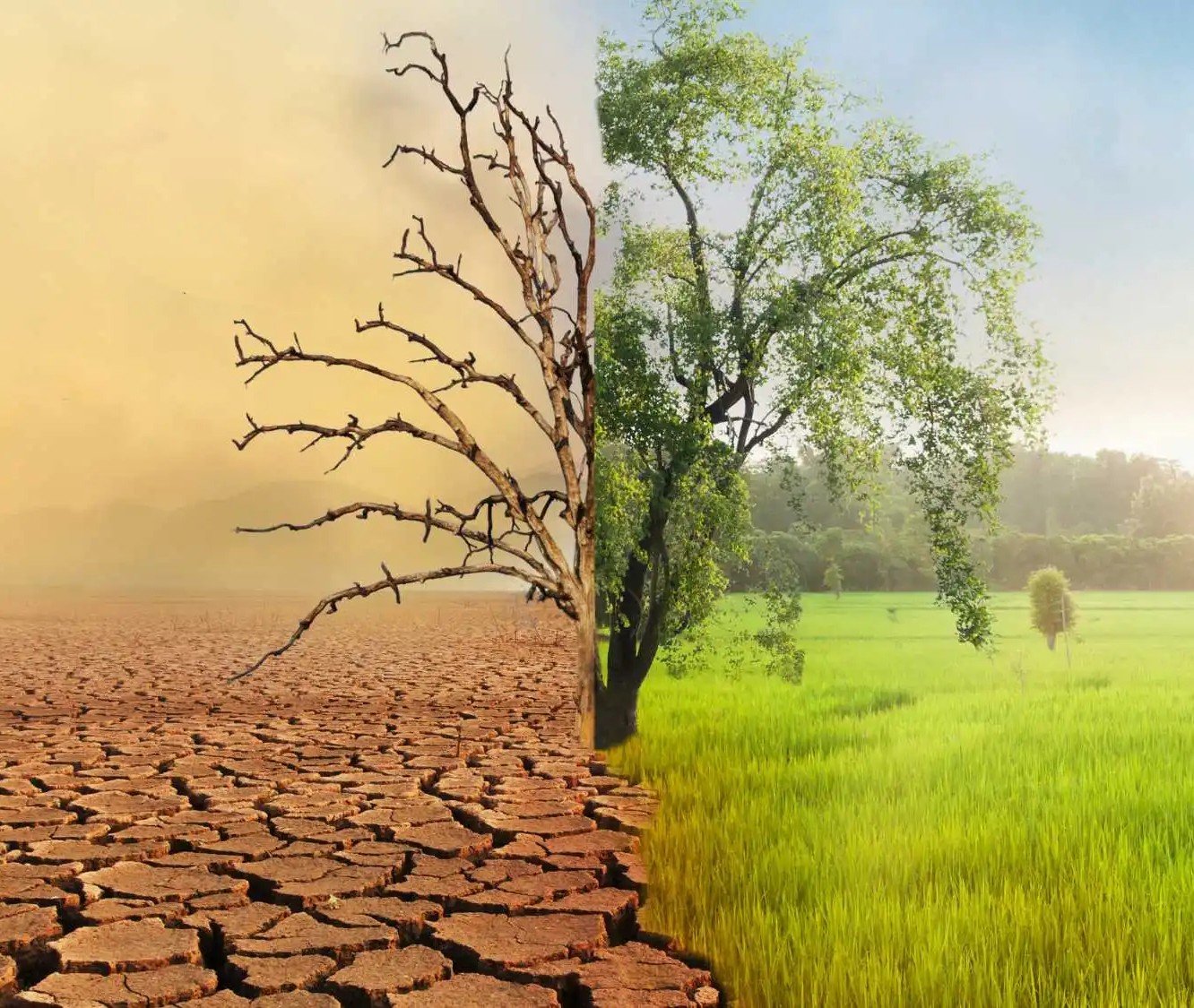 Combating-the-Climate-Crisis İklim Krizi