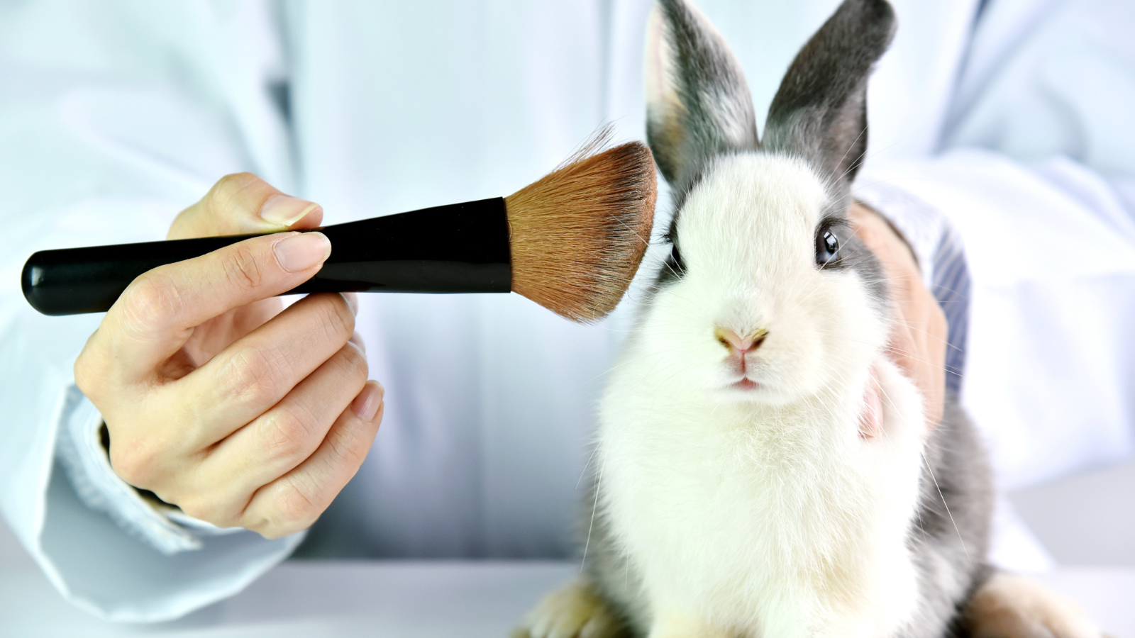 Hayvan üzerindeki deneyler son buluyor! Stop Animal Testing
