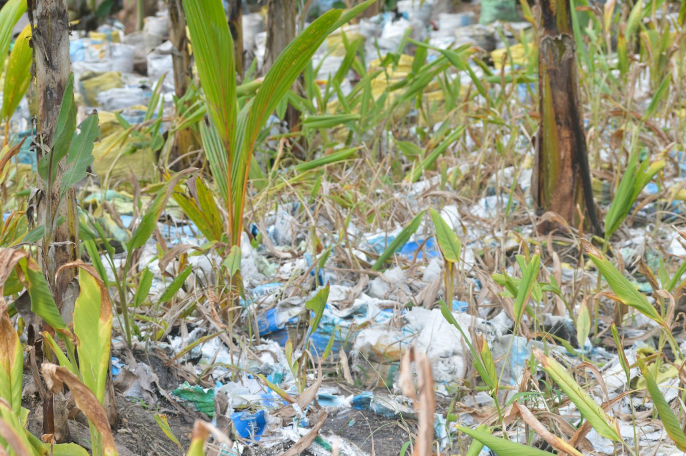 Plastik Geri Dönüşümü