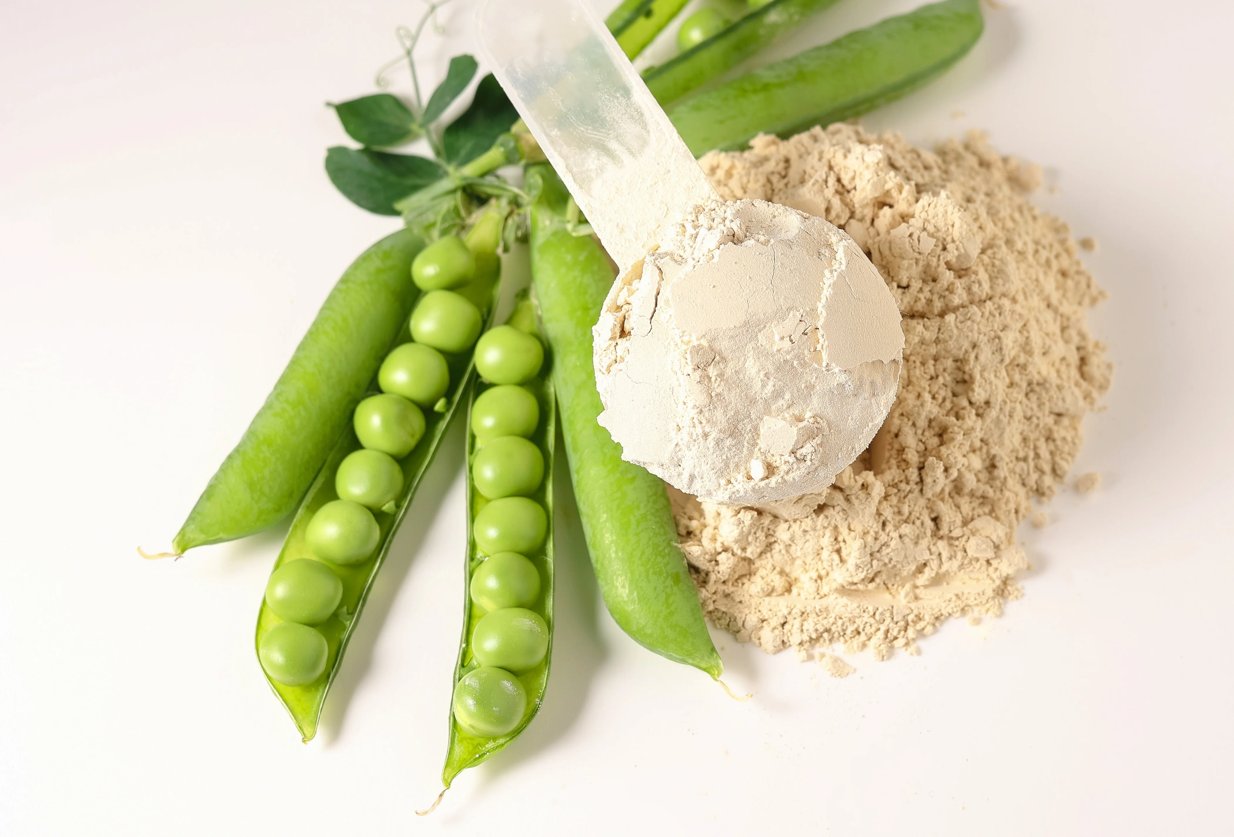 Pea_protein Bitki bazlı proteinler