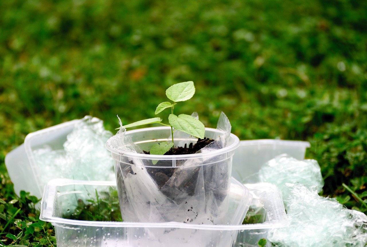 plastic-4473974_1280_edited Bioplastikler