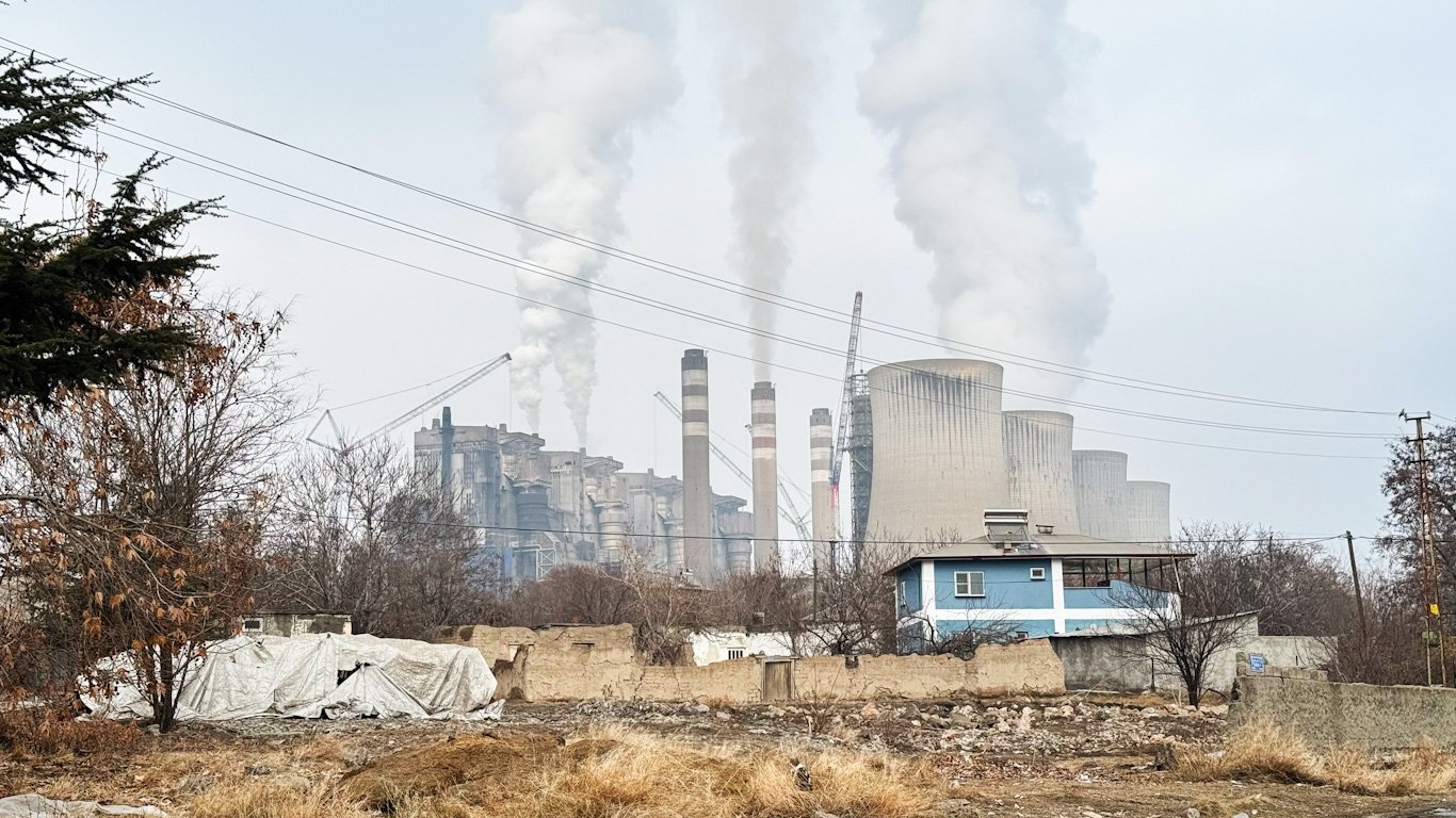 © Greenpeace Türkiye _ Volkan Işıl_edited GREENPEACE