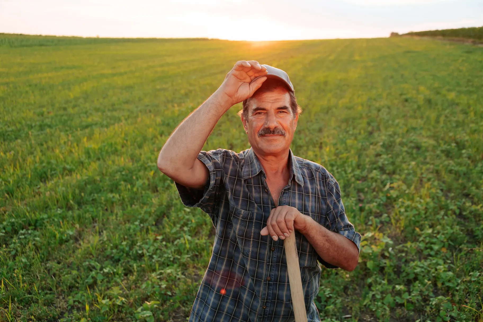 İklim Krizi-biyolojik yaşlanma İklim Krizi-biyolojik yaşlanma