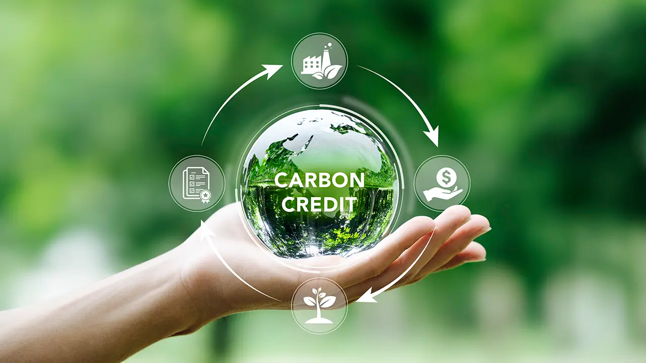 carbon-credits-1 Karbon Kredileri