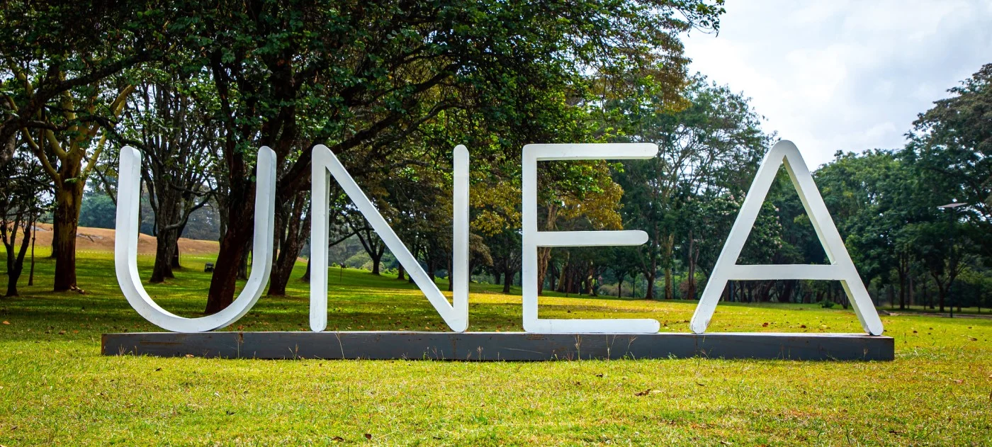 unea UNEA