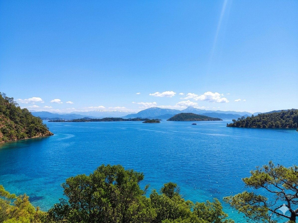 Fethiye Ayten Koyu’nda Ekosistem Alarmı