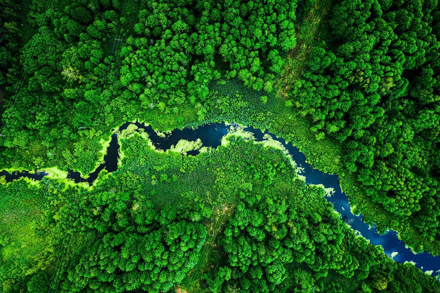 L’Oréal, İklim Krizi Fonu’na 20 Milyon Euro Daha Aktardı