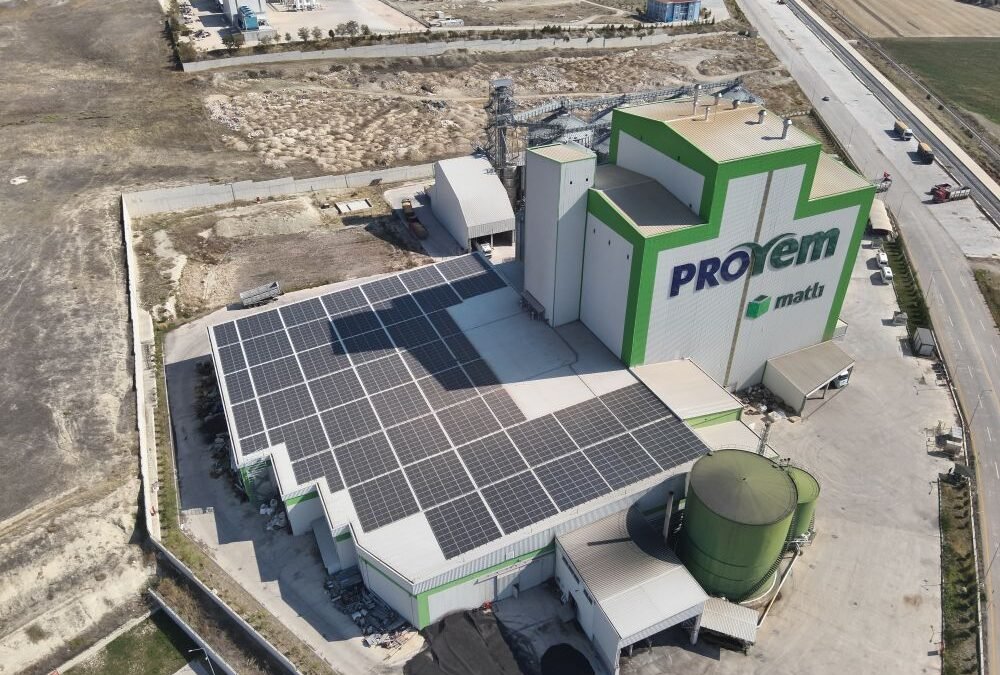 Matlı’dan Yenilenebilir Enerjiye 160 Milyon Dolarlık Yatırım Hedefi