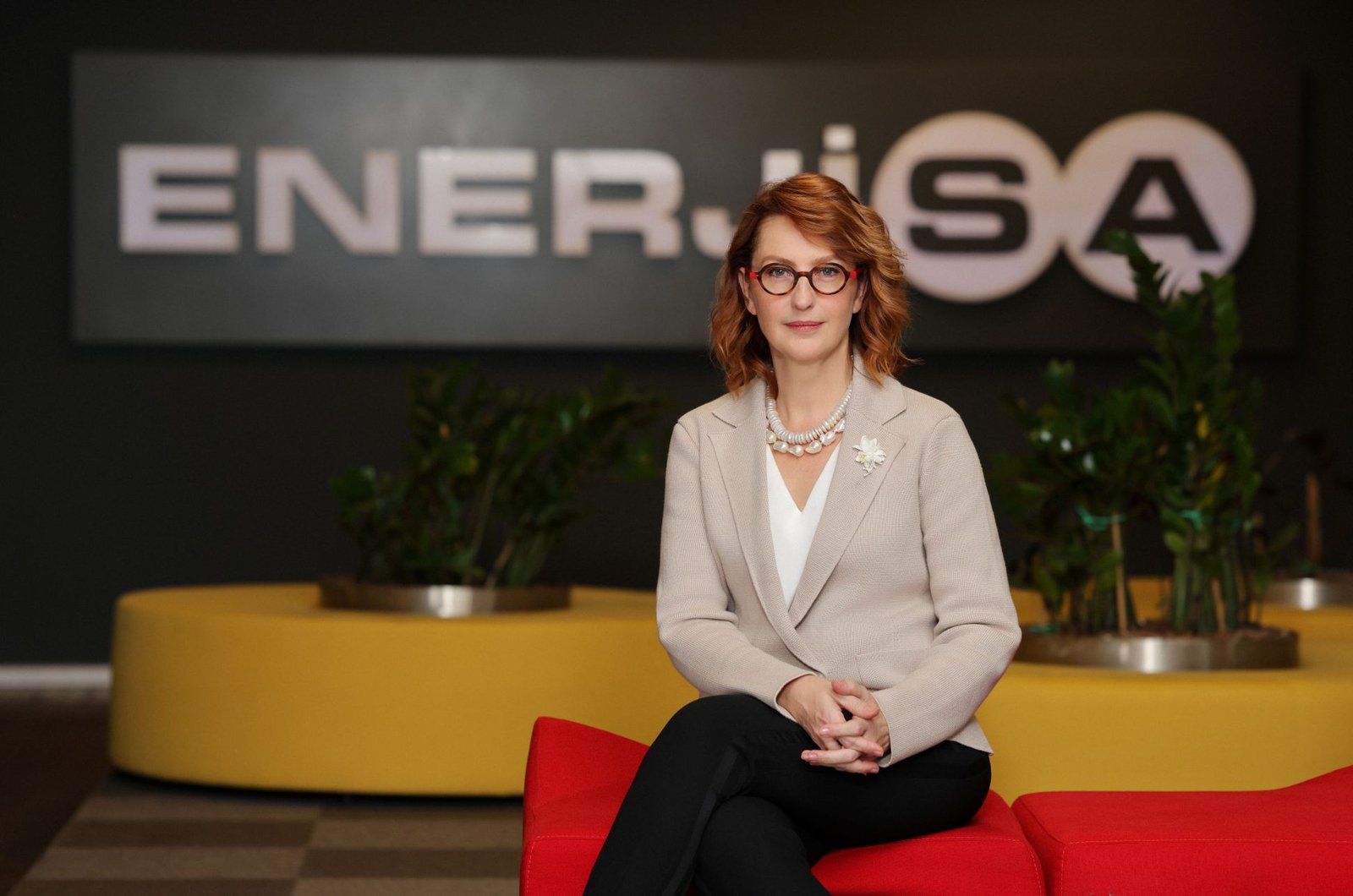 Ebru Taşçıoğlu, Enerjisa Enerji