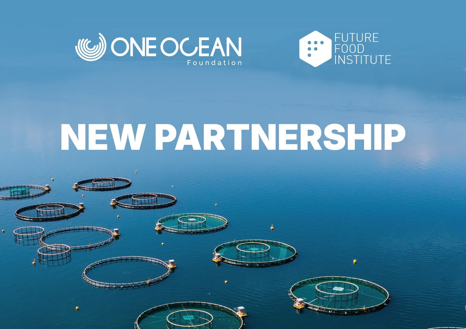 One Ocean