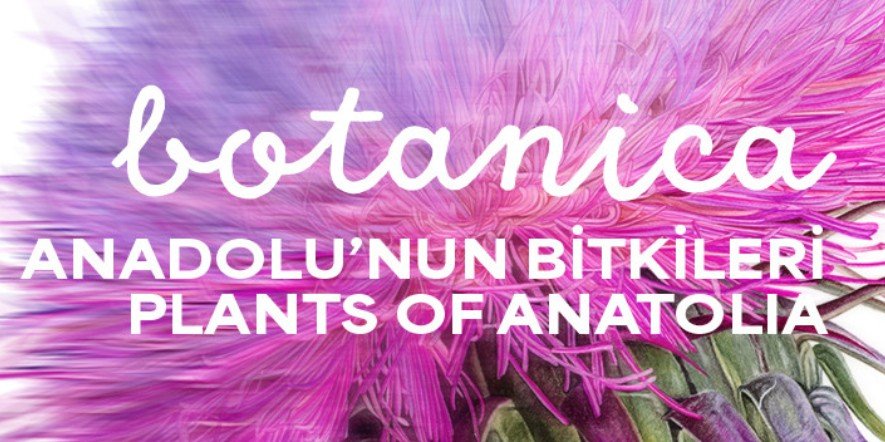 sergi Botanica Sergisi